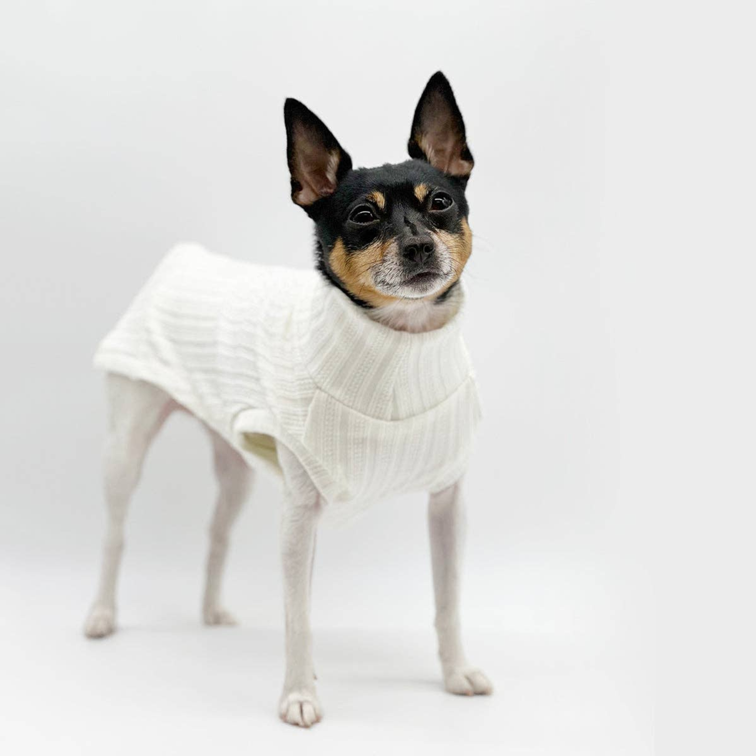 DoggieCoutureNY Dog Clothes DoggieCoutureNY DCNY Mock Neck Sleeveless Sweater Tank Dog Clothes