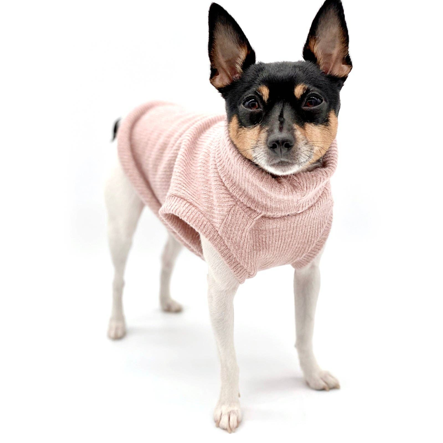 DoggieCoutureNY Dog Clothes DoggieCoutureNY DCNY Pretty In Pink Sweater Dog Clothes