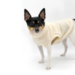 DoggieCoutureNY DCNY Dulce de Leche Sweater Dog Clothes