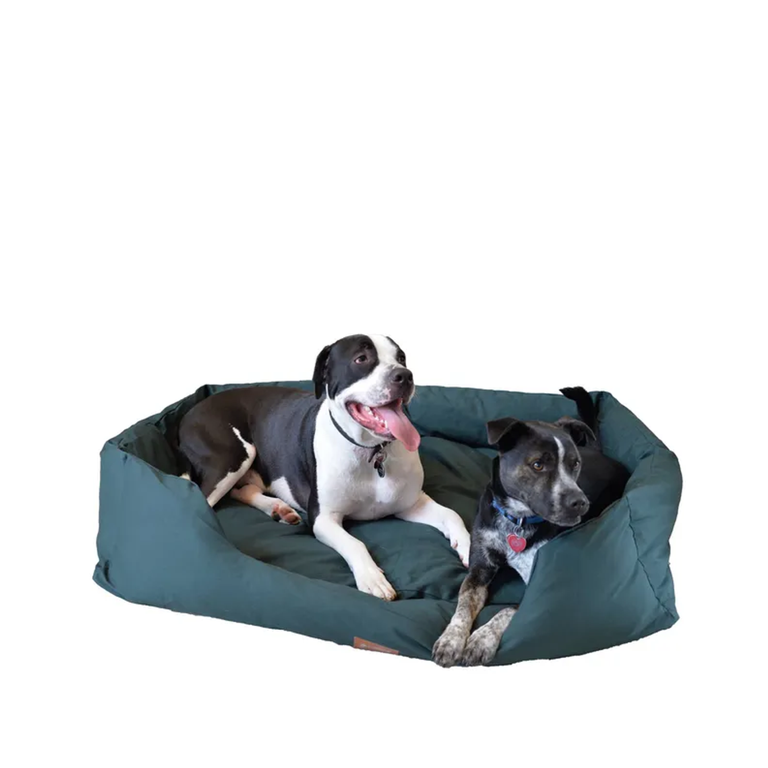 AeroMark International Inc Pet Beds AeroMark International Inc Armarkat Bolstered Dog Bed