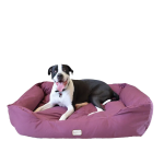 AeroMark International Inc Armarkat Bolstered Dog Bed