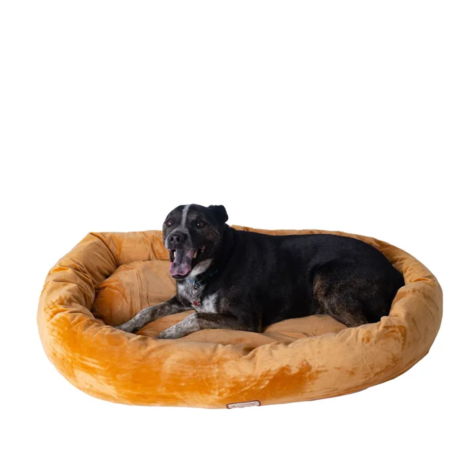 AeroMark International Inc Armarkat Bolstered Pet Bed and Mat