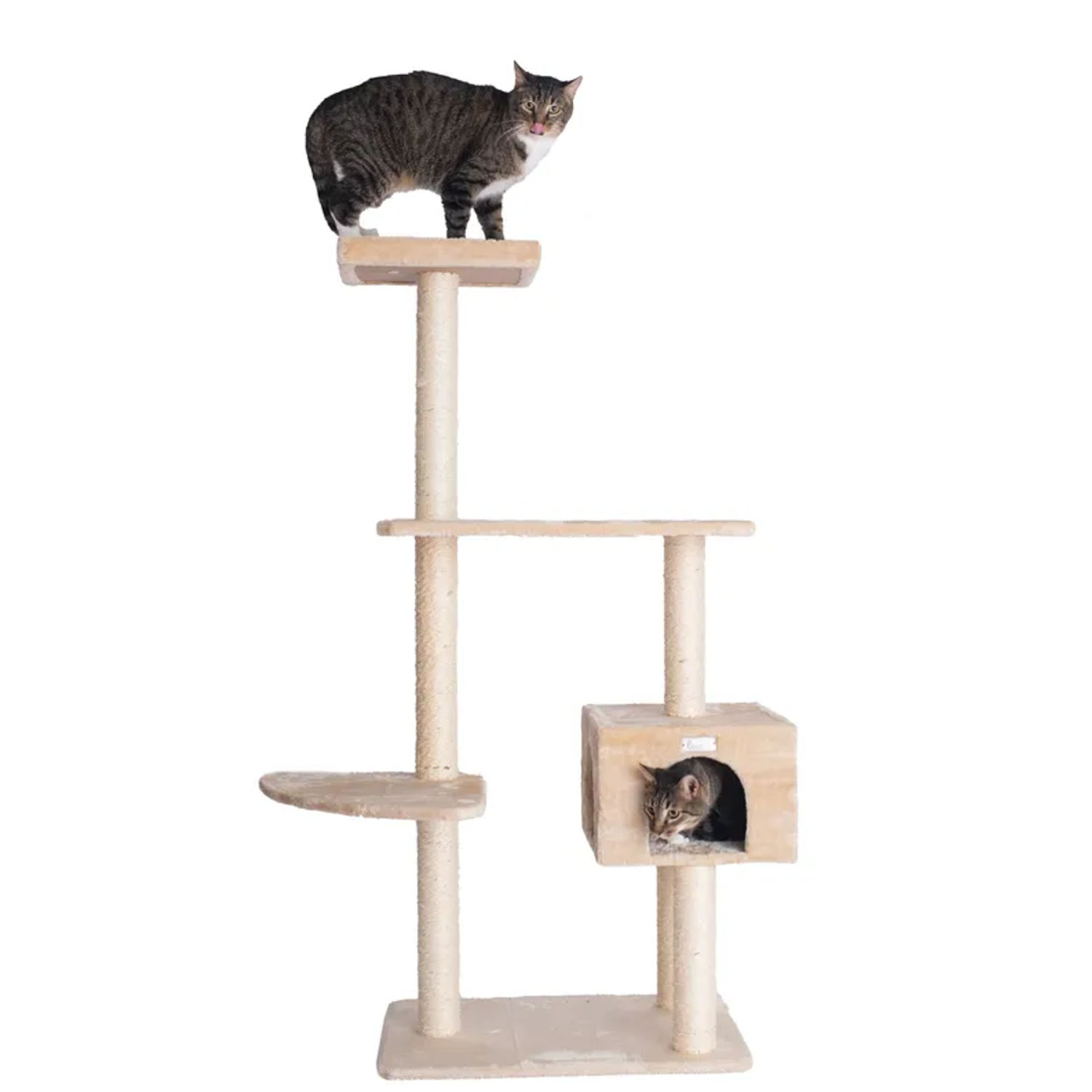 AeroMark International Inc GleePet 57-Inch Cat Tree  Real Wood Cat Perches Bge Scratchers