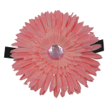 Pets Ribbons Pet Accessories