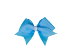 Pets Ribbons Pet Accessories