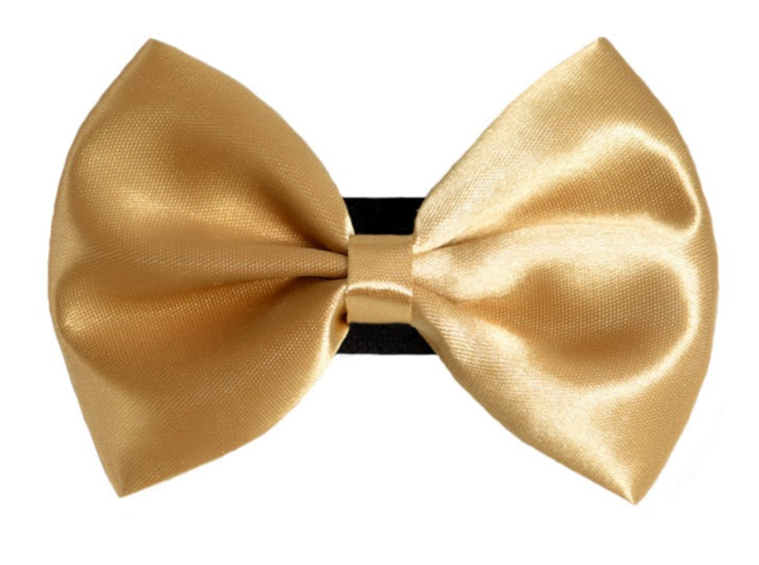 Pets Ribbons - PR3000|Pets Ribbons