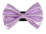 Pets Ribbons Pet Accessories