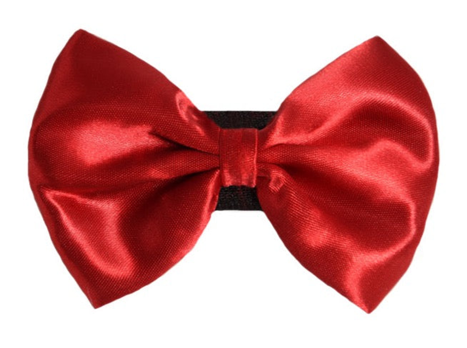 Pets Ribbons PR3000|Pets Ribbons Pet Accessories