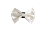 Pets Ribbons Pet Accessories
