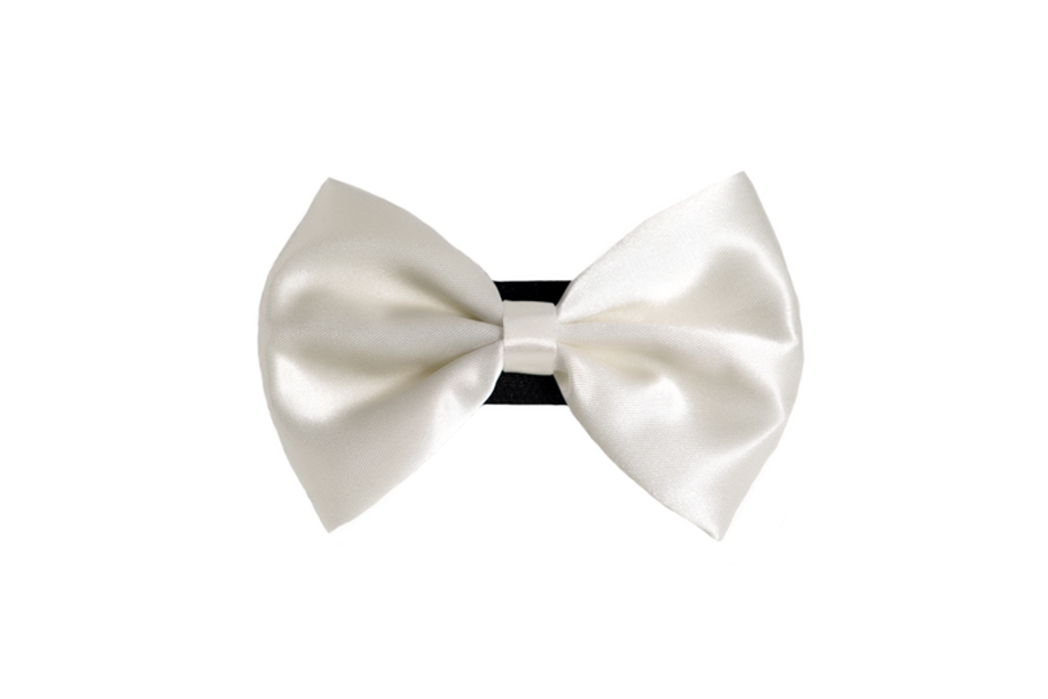 Pets Ribbons PR3000|Pets Ribbons Pet Accessories