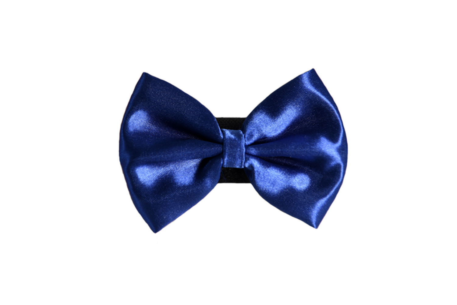 Pets Ribbons PR3000|Pets Ribbons Pet Accessories