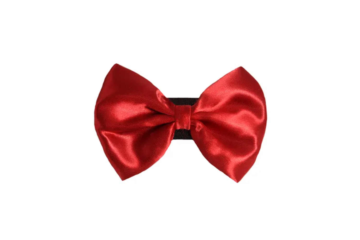 Pets Ribbons PR3000|Pets Ribbons Pet Accessories