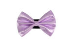 Pets Ribbons Pet Accessories