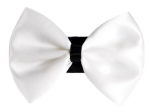 Pets Ribbons Pet Accessories