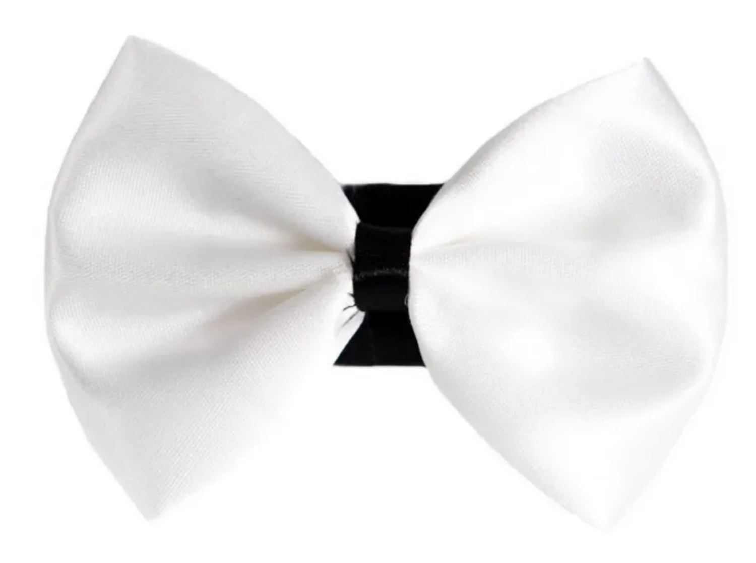 Pets Ribbons PR3001|Pets Ribbons Pet Accessories