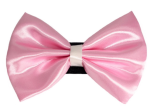Pets Ribbons Pet Accessories