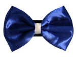 Pets Ribbons Pet Accessories
