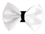 Pets Ribbons Pet Accessories