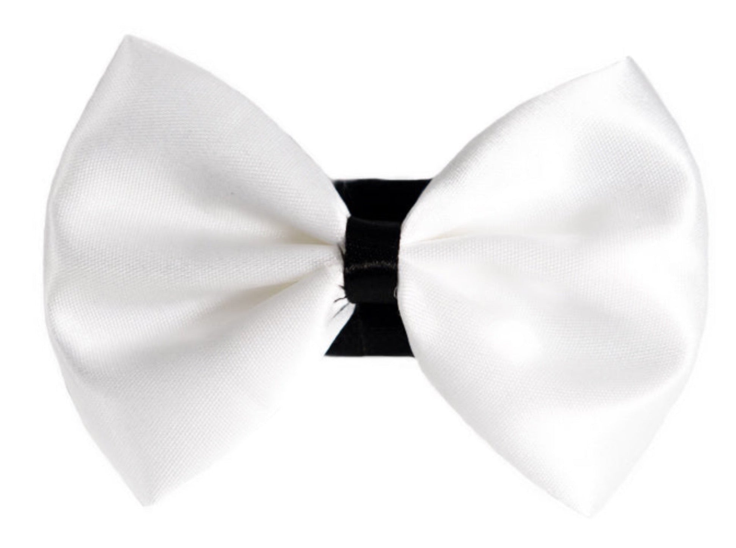 Pets Ribbons PR3001|Pets Ribbons Pet Accessories