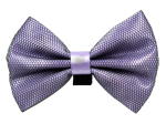 Pets Ribbons Pet Accessories