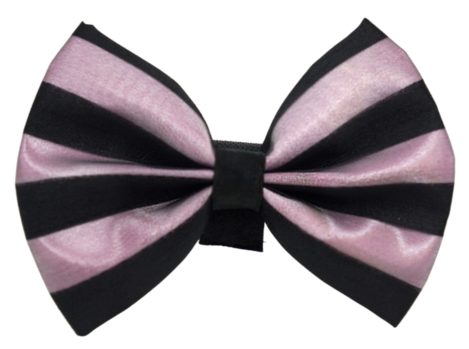 Pets Ribbons PR3006|Pets Ribbons Pet Accessories
