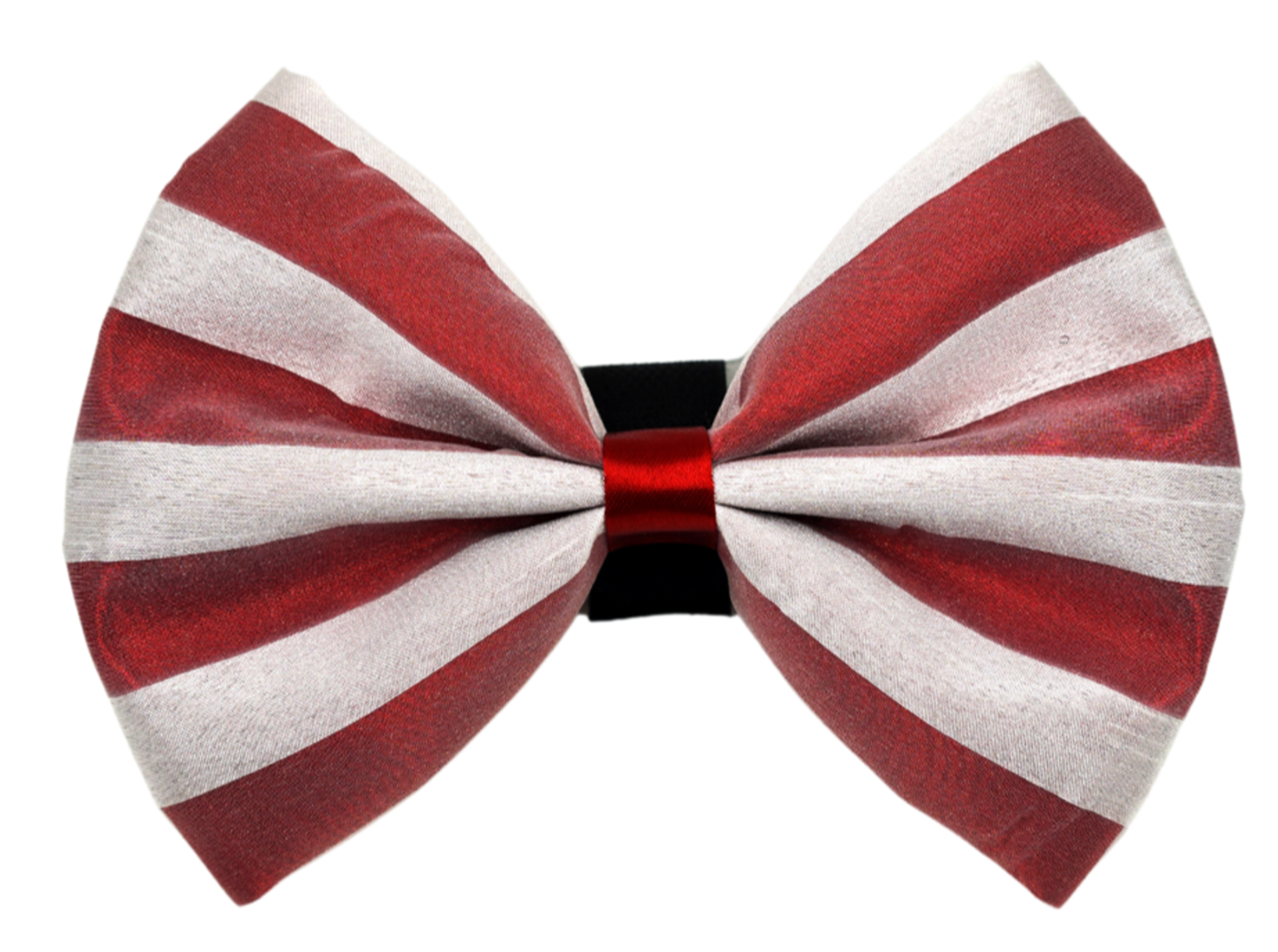 Pets Ribbons PR3006|Pets Ribbons Pet Accessories