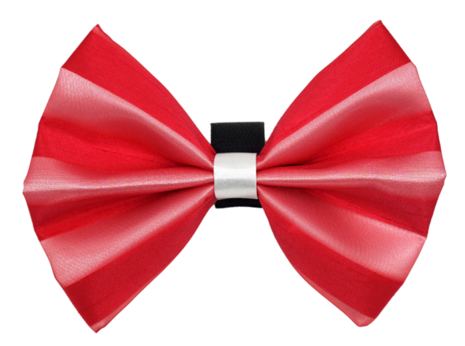 Pets Ribbons PR3006|Pets Ribbons Pet Accessories