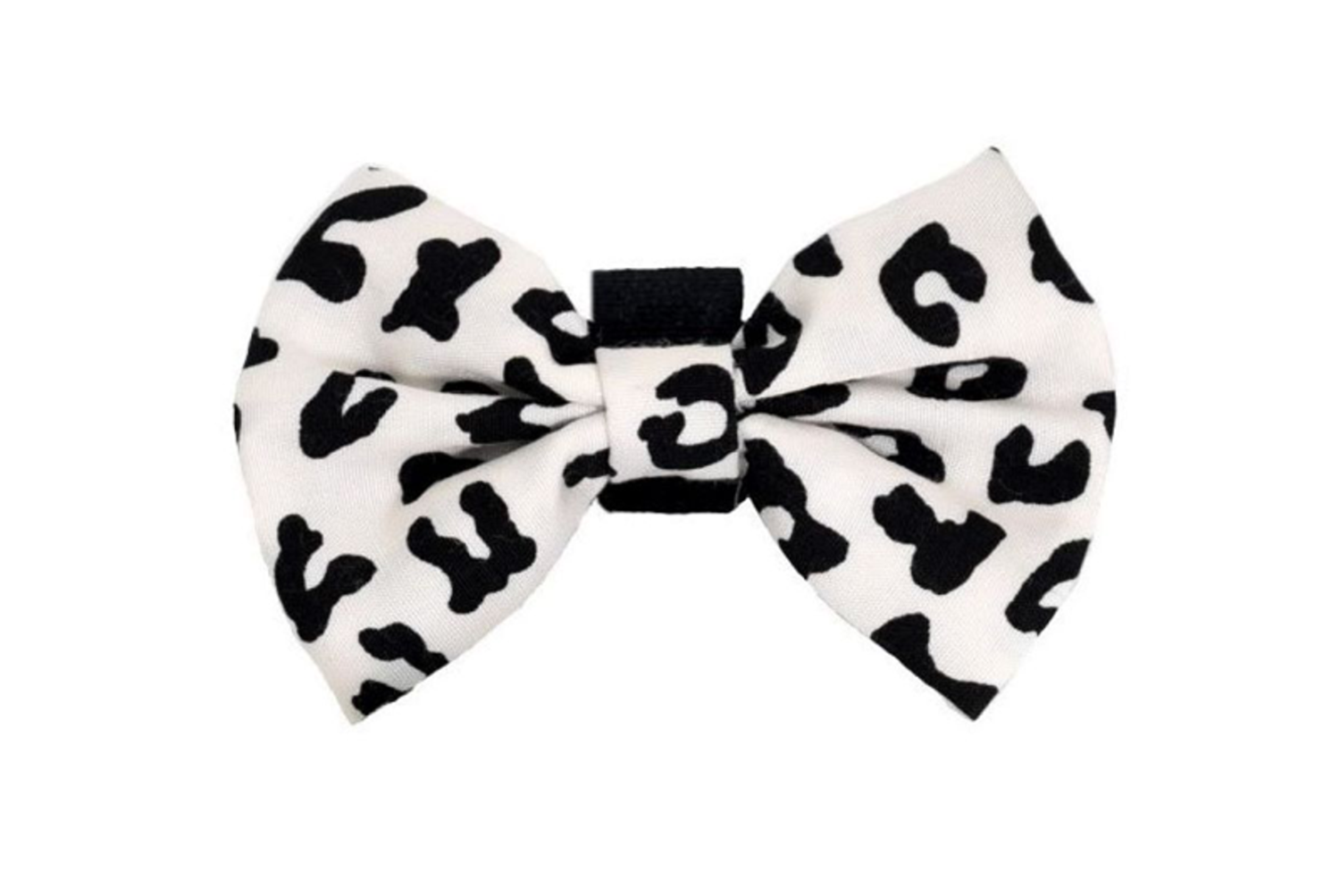Pets Ribbons - PR6000|Pets Ribbons