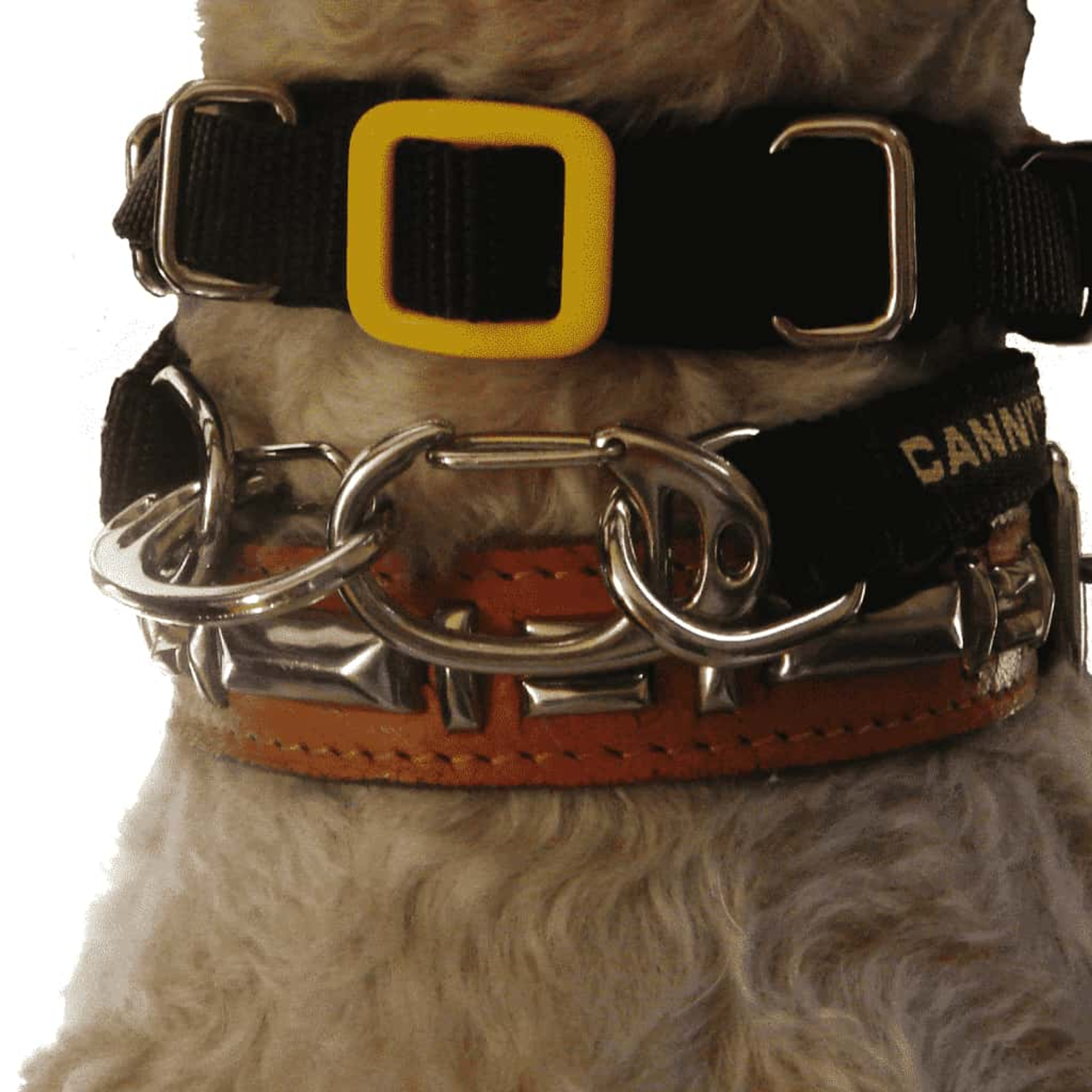 CannyCo America LLC Canny Carabiners [pack of 2] Dog Collars