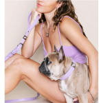 DIPHDA Lavender Rose Collar Charm Set Pet Accessories