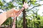 CSCORD International LLC Eco- Cow Dog Rope Plush Squeaky Toy Dog Toys