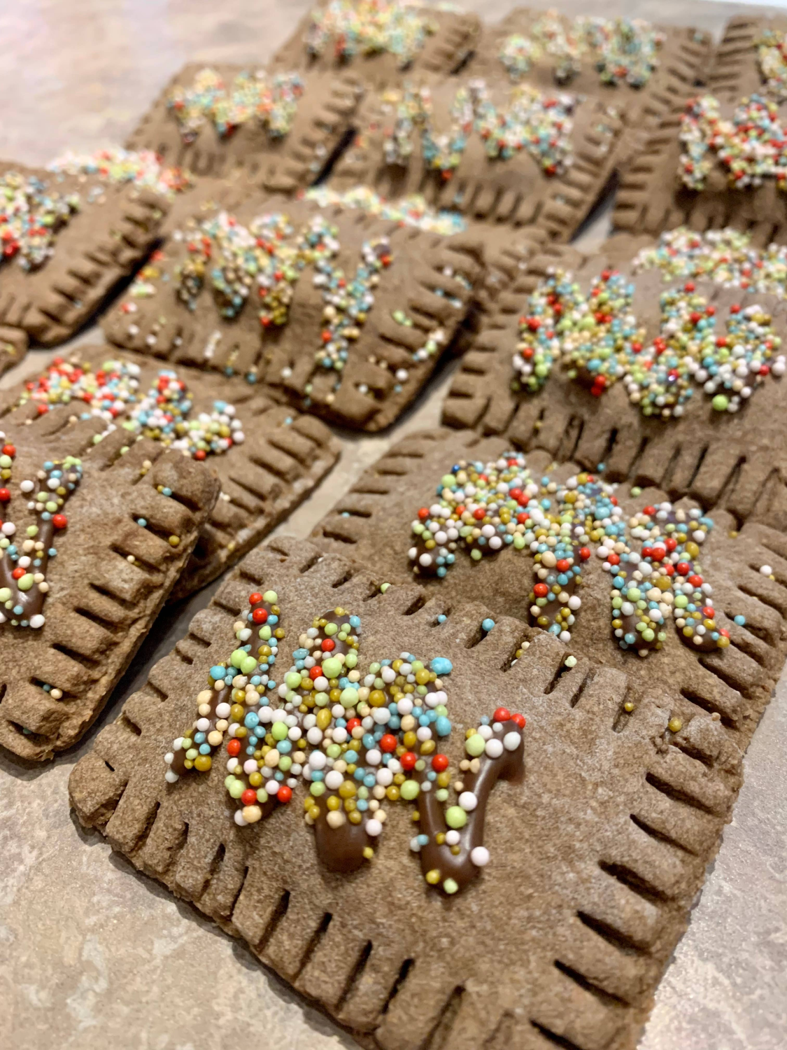 The Blue Cerebus Dog Bakery Puppy Tart-Carob & Strawberry (small) Dog Treats