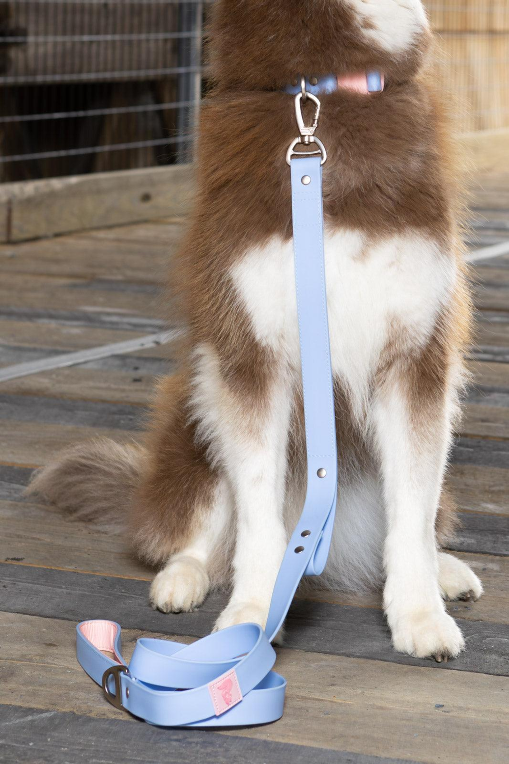 Aria the Fox LLC Blue Sky Orchid Waterproof Leash Dog Leashes