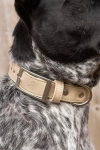 Aria the Fox LLC Dog Collars