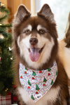 Aria the Fox LLC Dog Bandanas