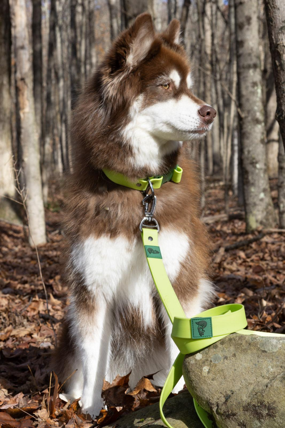 Aria the Fox LLC Mossy Pine Waterproof Leash Dog Leashes