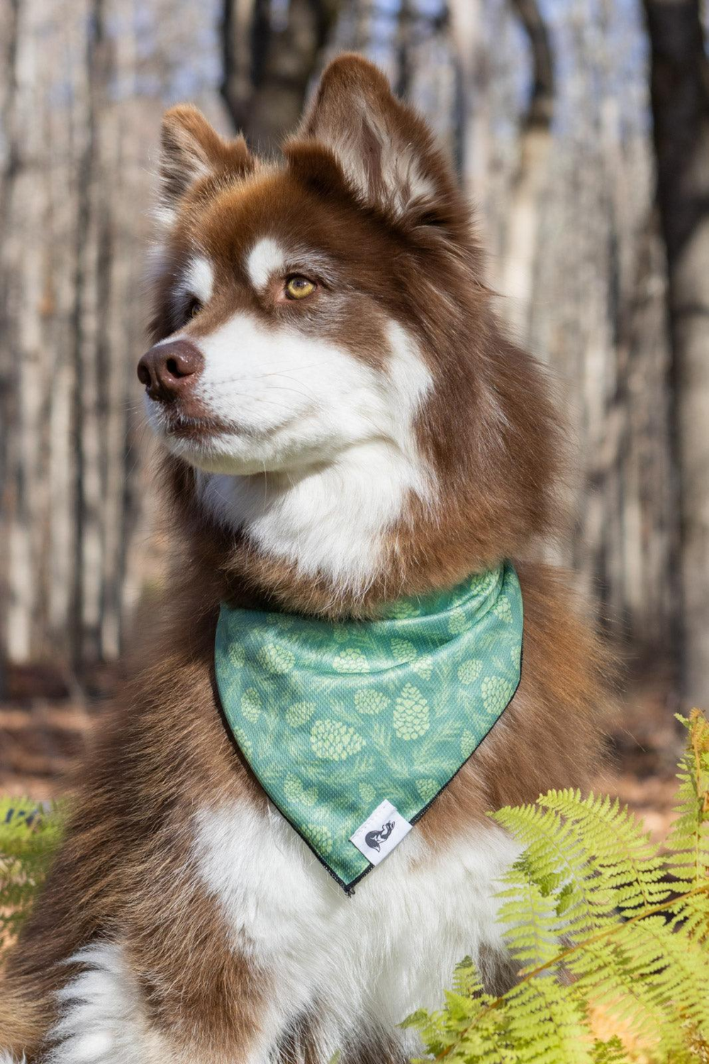 Aria the Fox LLC Pine Cone Pup Bandana Dog Bandanas