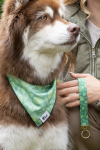 Aria the Fox LLC Dog Bandanas
