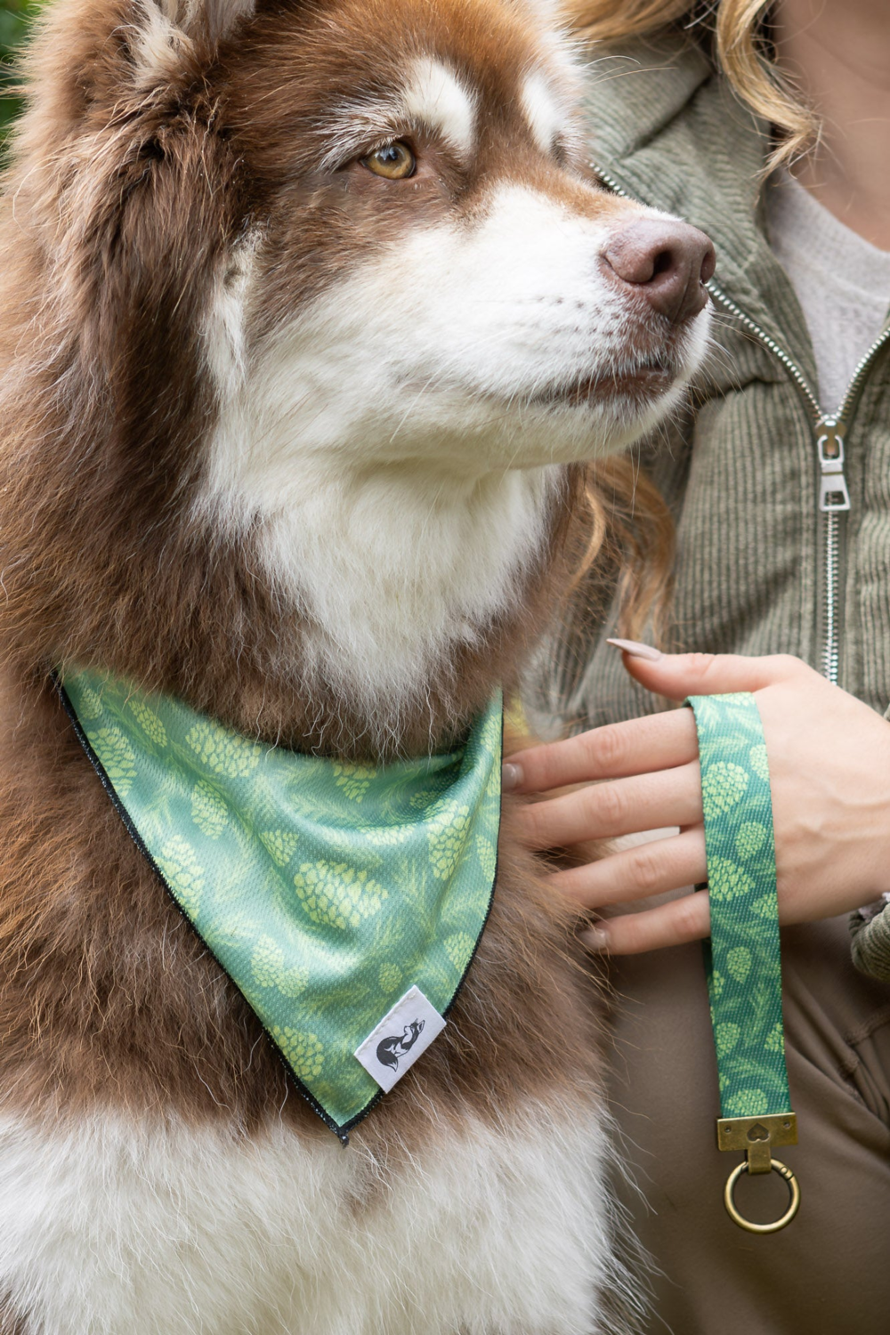 Aria the Fox LLC Pine Cone Pup Bandana & Matching Keychain Dog Bandanas
