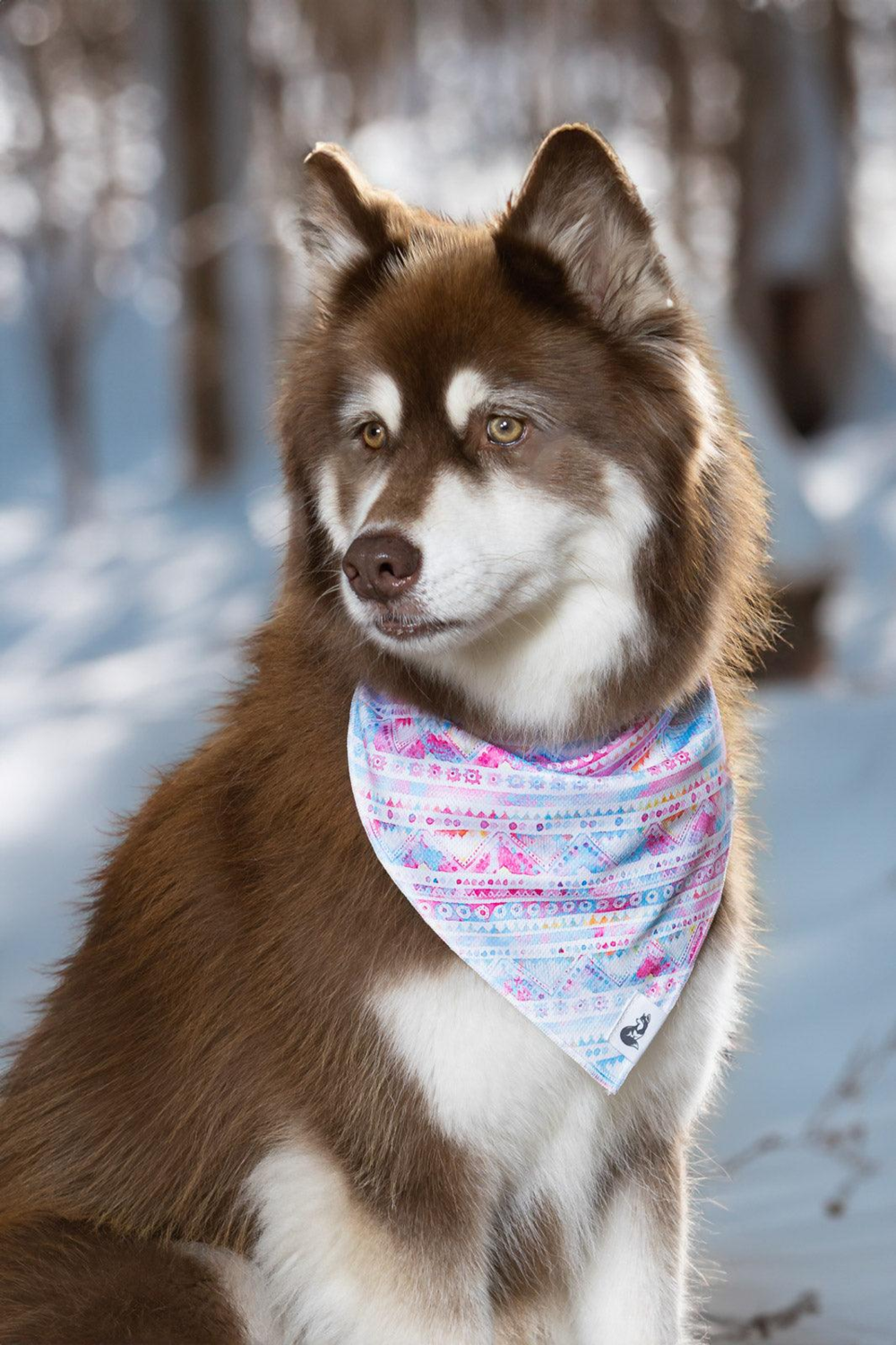 Aria the Fox LLC Pink and Blue Tribal Dog Bandana Dog Bandanas