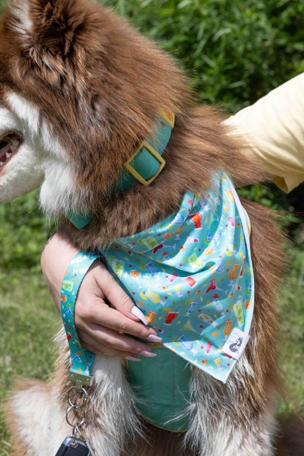 Aria the Fox LLC Seaside Sips Dog Bandana & Matching Keychain Dog Bandanas