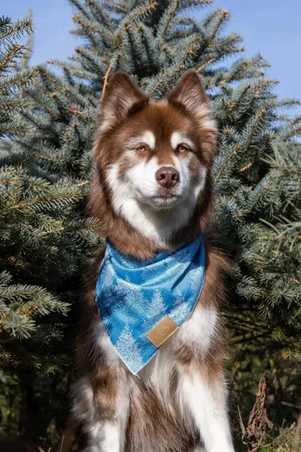 Aria the Fox LLC Siberian Spruce Dog Bandana Dog Bandanas