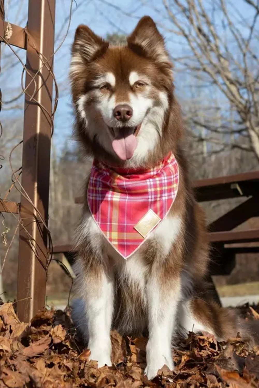 Aria the Fox LLC - Wine Plaid Dog Bandana