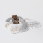 Hello Doggie Inc. Dog Beds