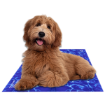The Green Pet Shop Training