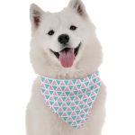 Bandoggies Indy Dog Bandanas