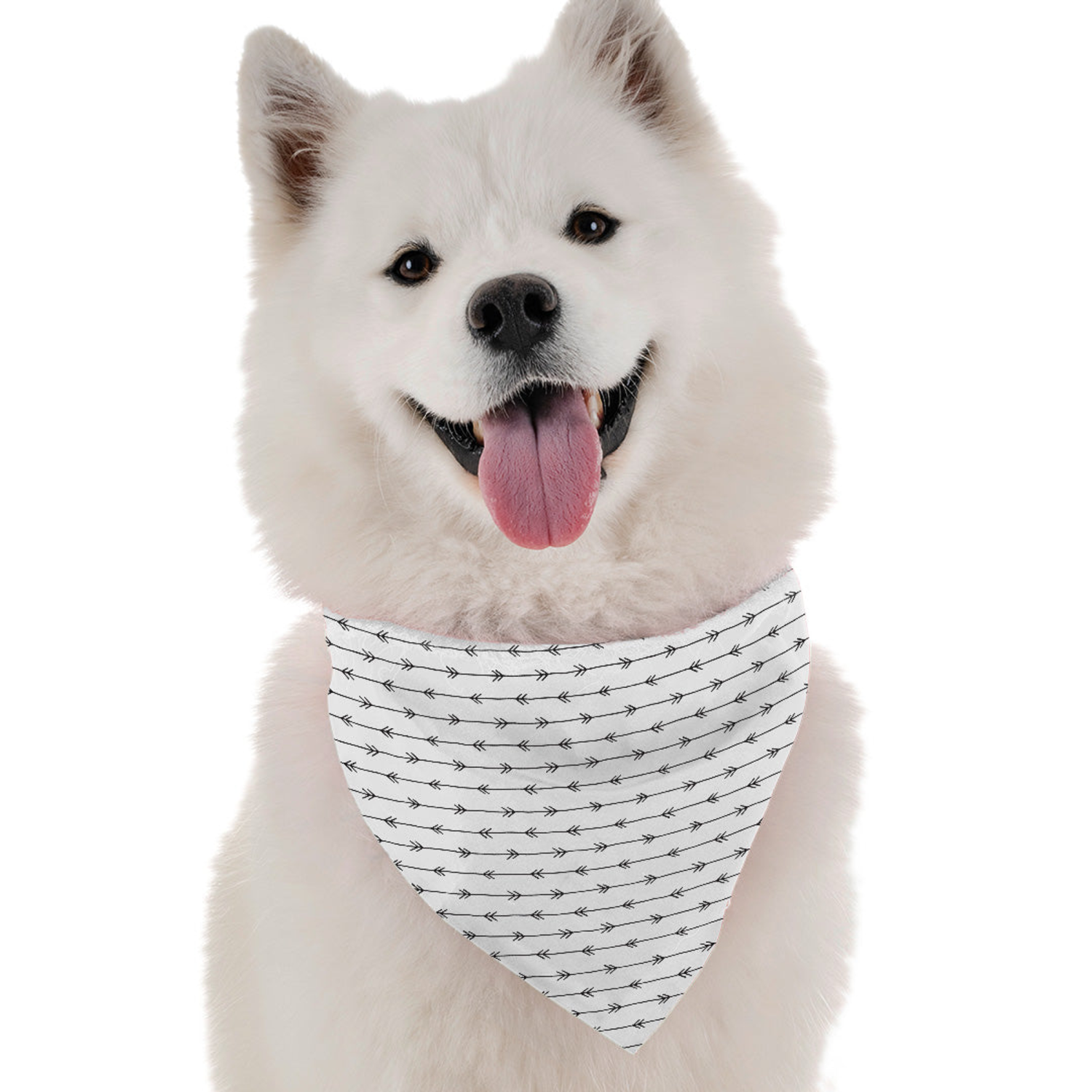 Bandoggies Emery Dog Bandanas