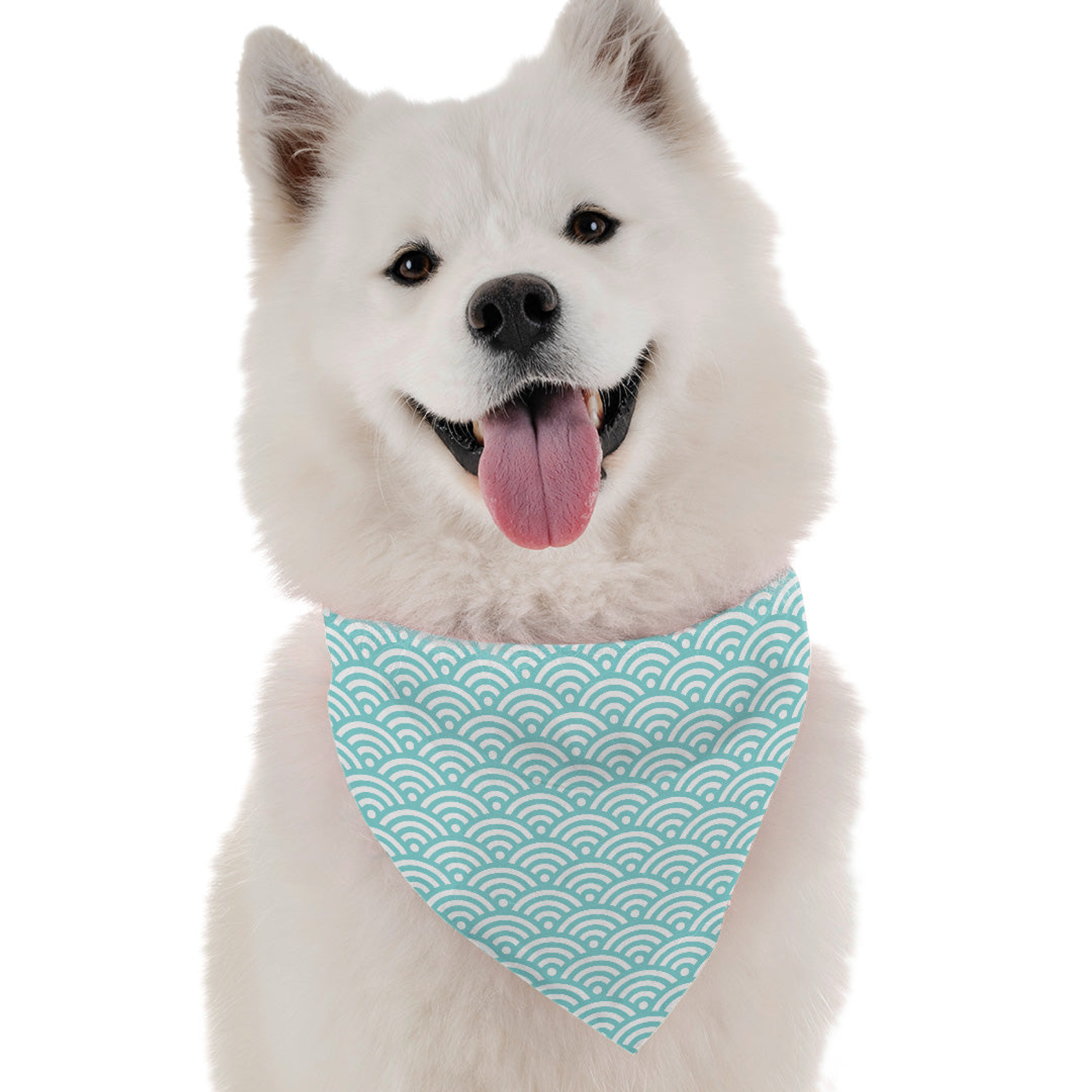 Bandoggies Briar Dog Bandanas