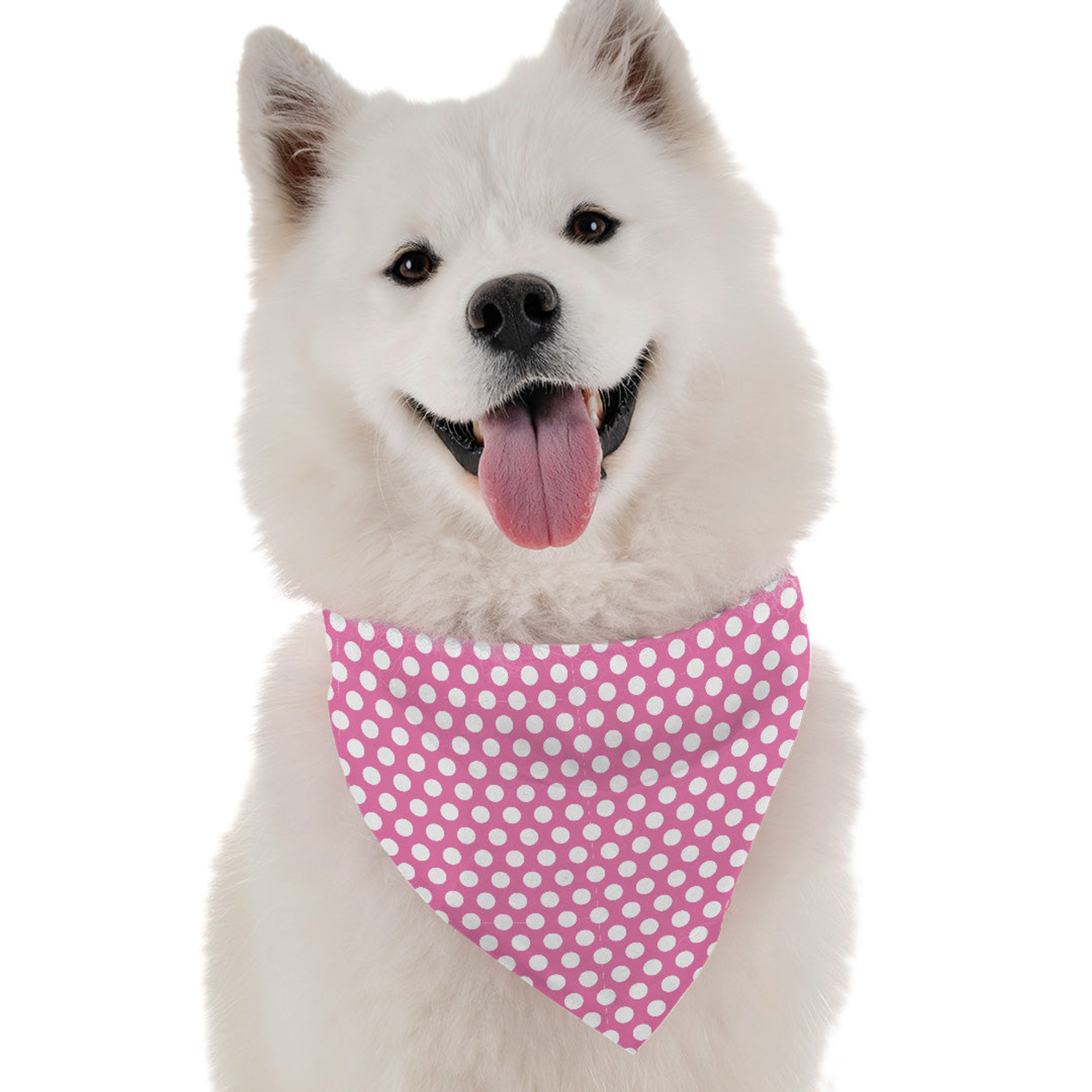 Bandoggies Amari Dog Bandanas