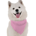 Bandoggies Amari Dog Bandanas